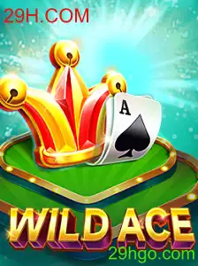 WildAce: Mergulhe na Aventura com 29H.COM